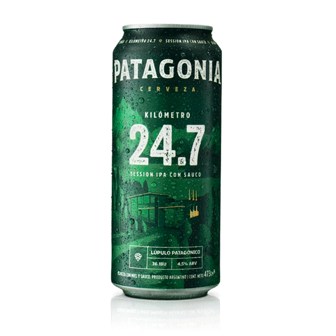 Patagonia Ipa Lata 410cc