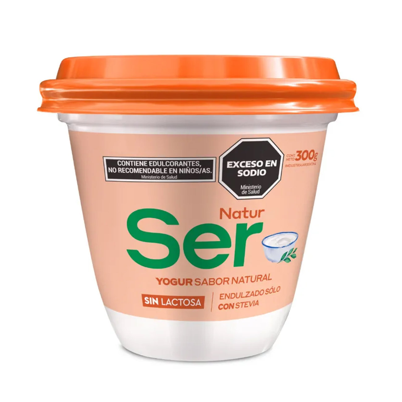 Yogurt Ser Natural Big Pot 300gr